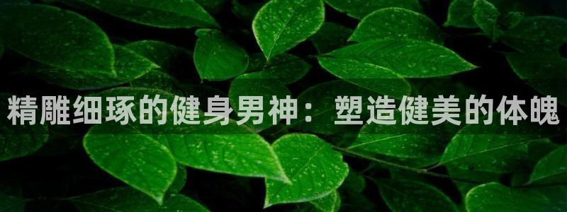 龙8国际娱首页