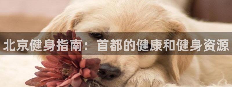 龙八国际娱乐老板是谁