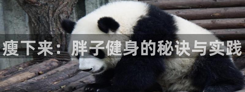 龙8国际网址是什么