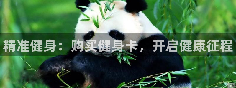 龙8游戏官方网站登录