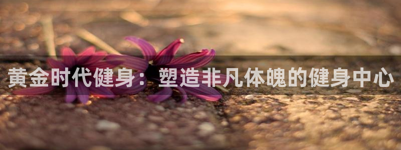 龙8游戏官方网站q