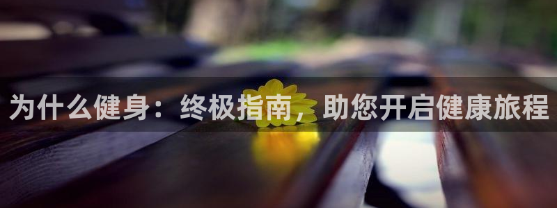龙8国际免费试玩