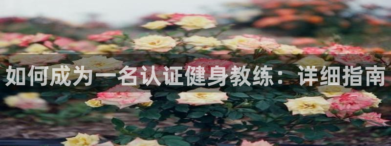 龙8国际怎么样