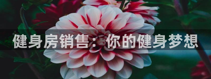龙8国际网页登陆