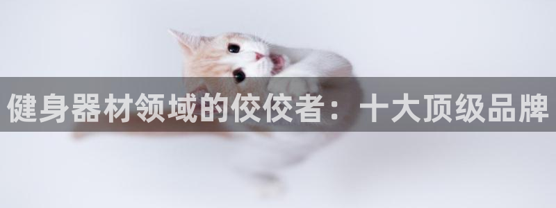 龙八国际网页