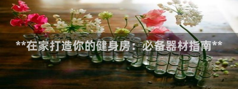 龙8国际官网登录口