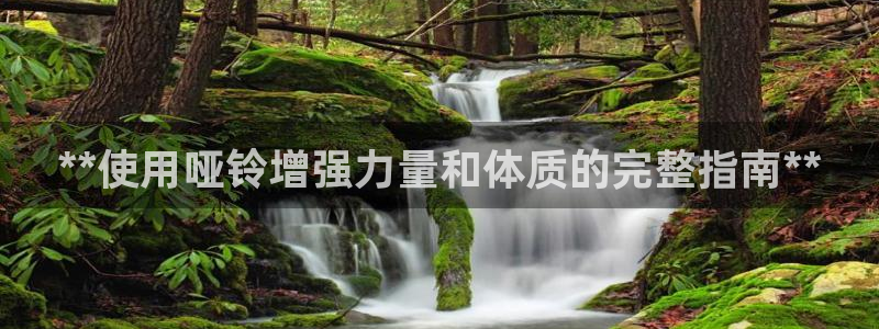 龙8 国际