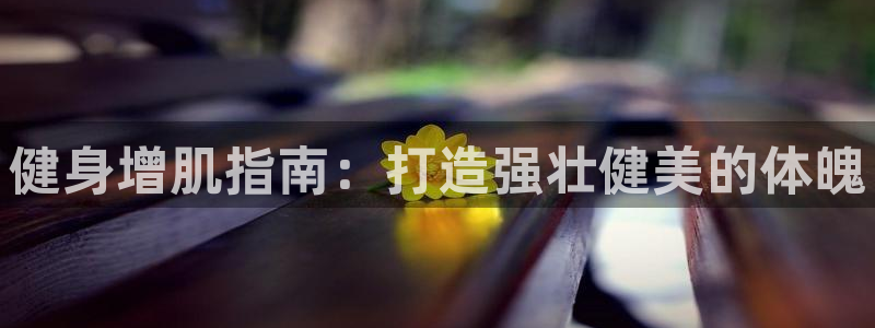 龙8国际平台