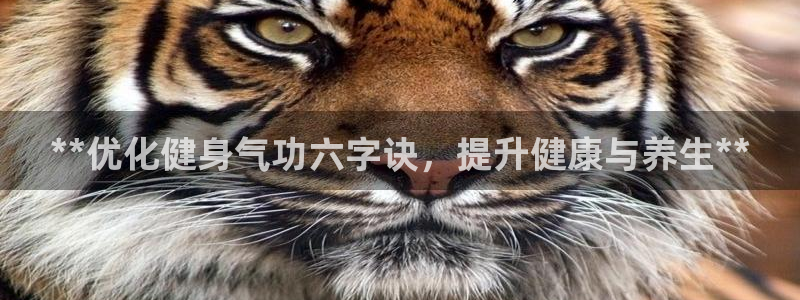 龙8国际是真的吗