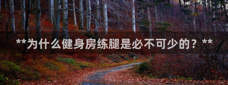 龙8国际2021官方网站pkufli1.291