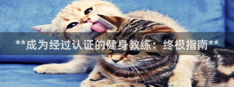 龙8国际官网版玩法