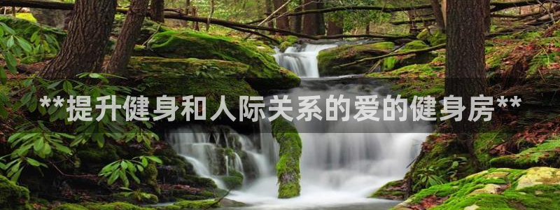 龙8国际手机登