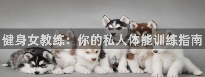 龙8国际游戏唯一官方进入