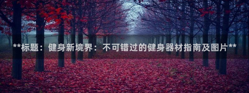 龙8国际官网
