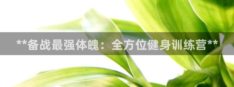龙8国际是真的吗