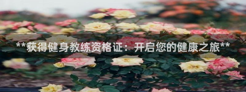 龙8国际app下载