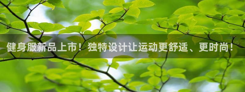 龙八国际娱乐网页多少