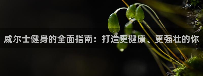 龙8国际手机版