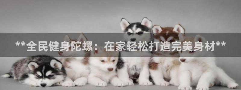 龙8官网在线试玩