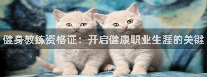 龙8国际开户