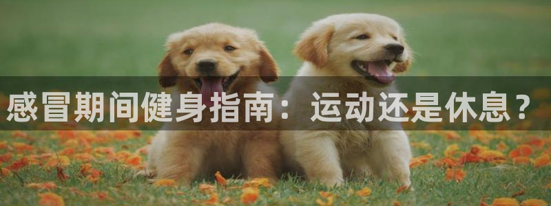 龙8国际2021年4.15更新版baoli