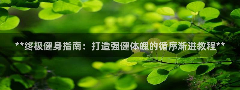 国际龙8下载