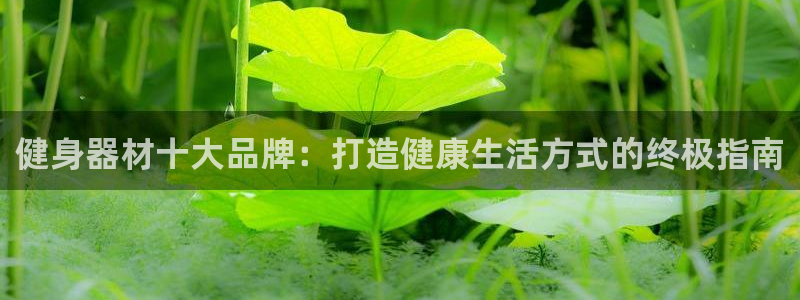 龙8国际开户