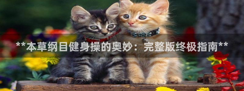 开户送88元体验金网站