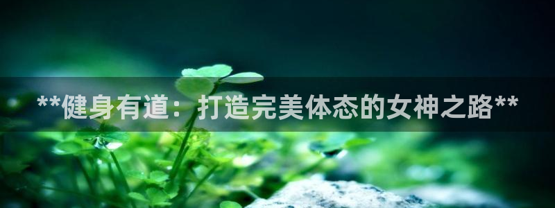 龙8国际是什么