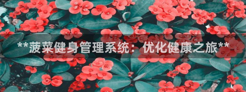 龙8国际官方网站手机版下载