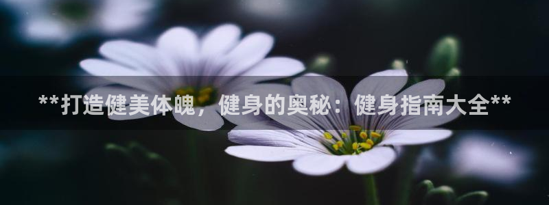 龙8国际手机版官网