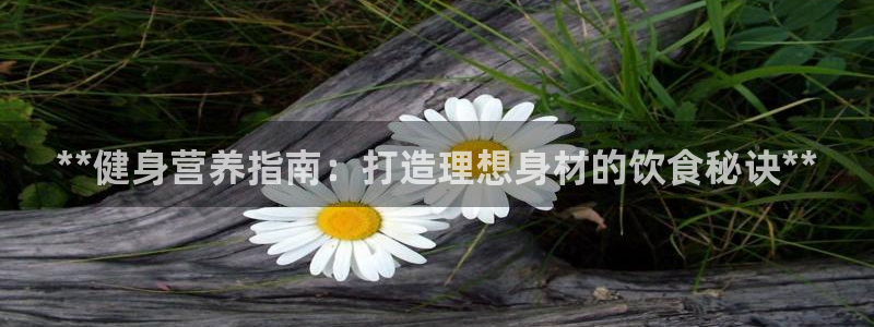 龙8-龙国际-long8-龙8游戏