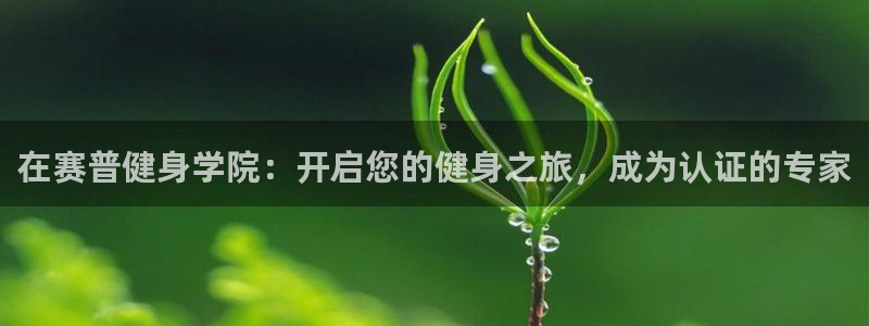 龙八国际网页
