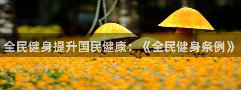 龙八国际app客户下载
