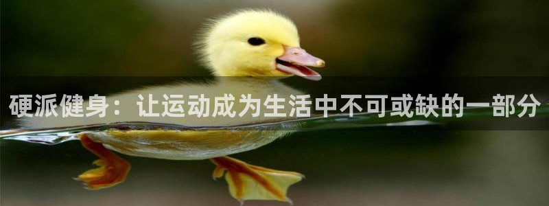 龙8国际官方网页