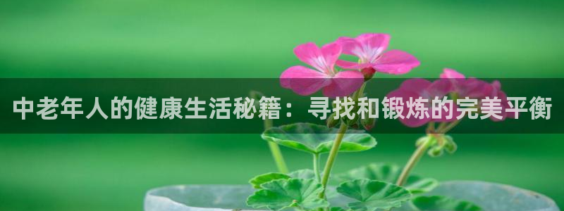 龙八国际登录密码