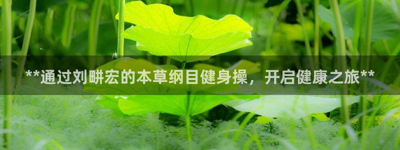 龙8国际pt官方网址