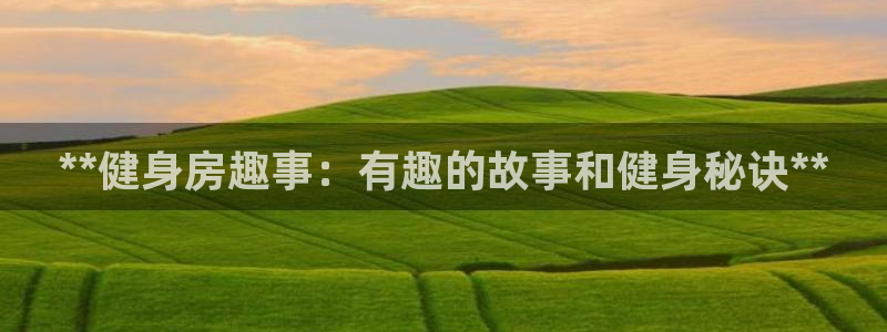 龙8国际官方网址
