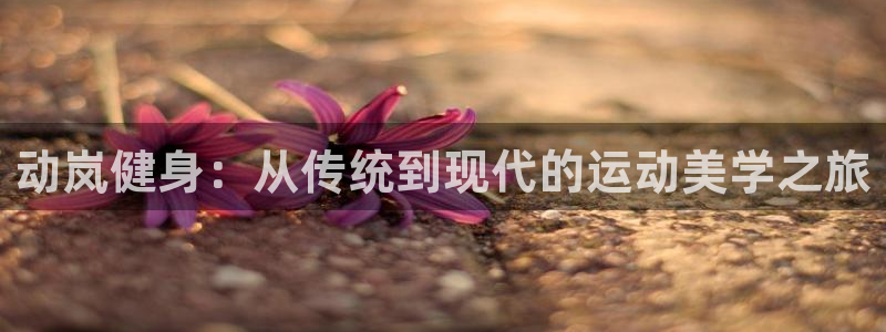 龙8游戏平台官方