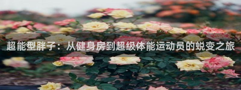 龙8国际app客户端下载
