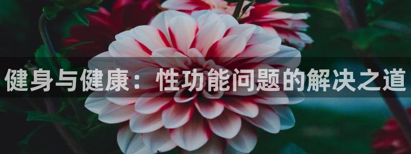 龙八国际网页