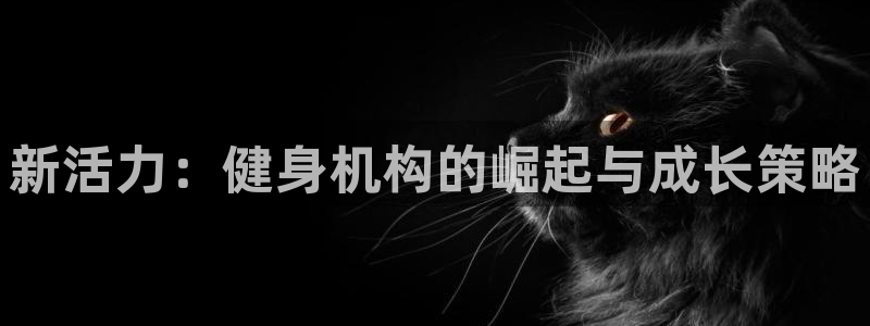 开户送88元体验金网站