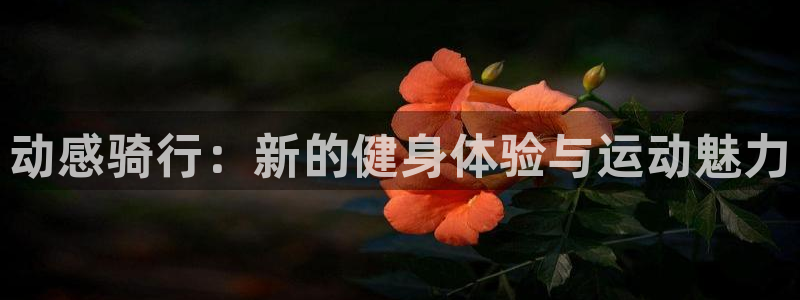 龙8国际官网 点此进入