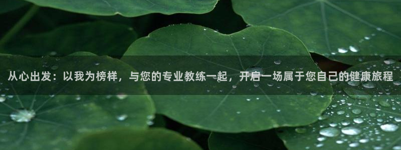 龙8国际手机版下载
