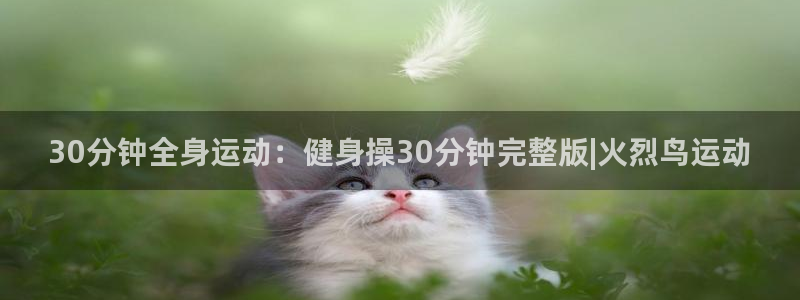 龙八国际手机客户端