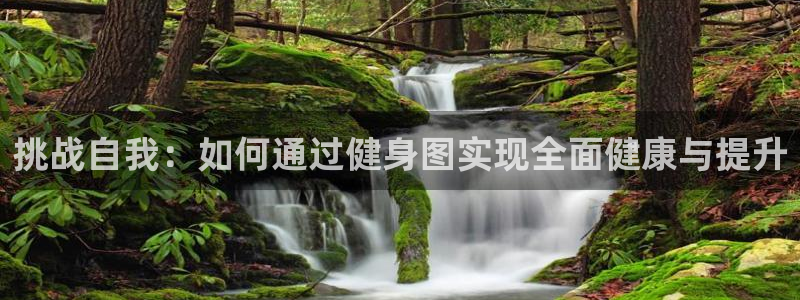 龙 八国际