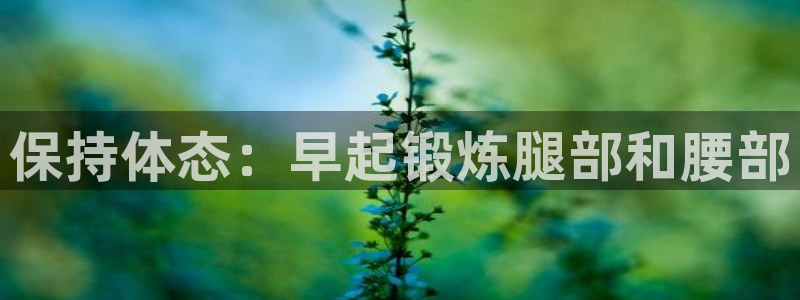 龙8国际官网手机客户端
