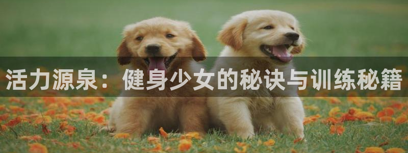 龙8游戏平台官方