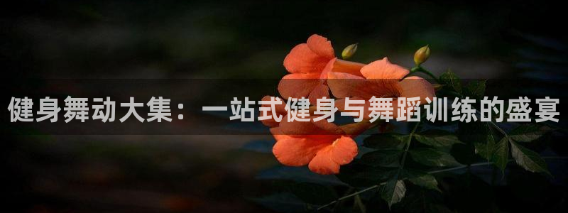 龙8国际手机版下载