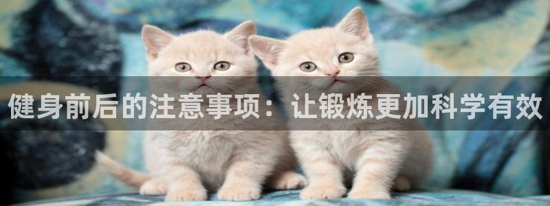 龙8国际手机版官网